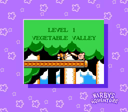 Kirby's Adventure